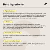 Switch Nutrition Coffee Switch Cafe Mocha Mental Focus Elixir Powder 150 g